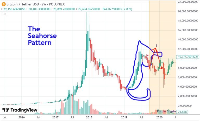 The Seahorse Pattern - October 2019 Update