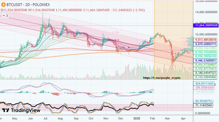 My Bitcoin Channel - Update March 2020