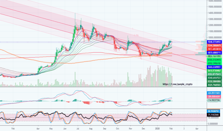 My Bitcoin Channel - Who Do You Believe About BTC - March 2020