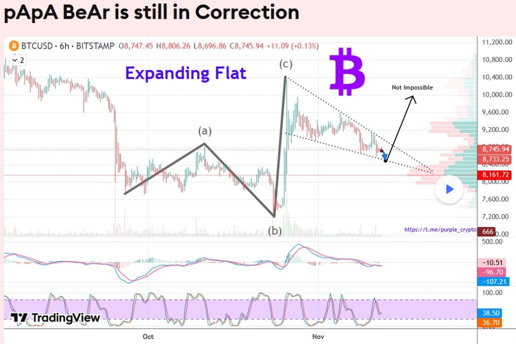 Papa Bear is Still in Correction - November 2019