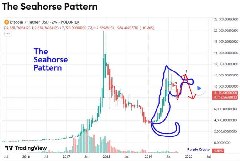 The Seahorse Pattern - October 2019