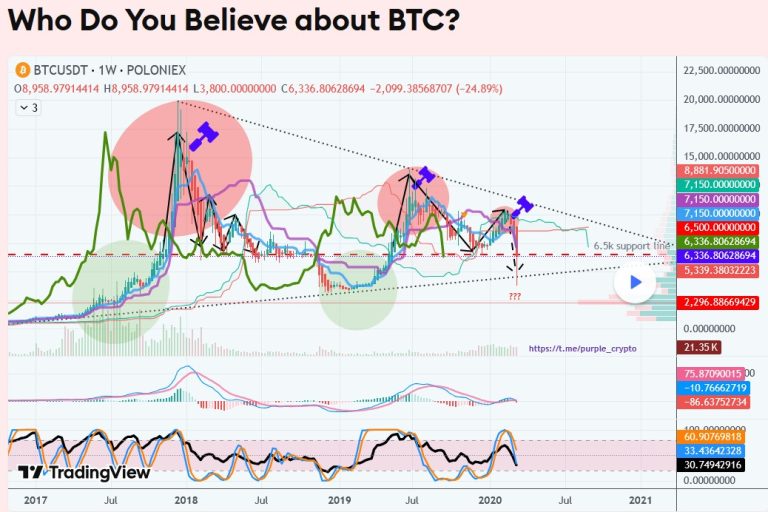 Who Do You Believe About BTC - March 2020